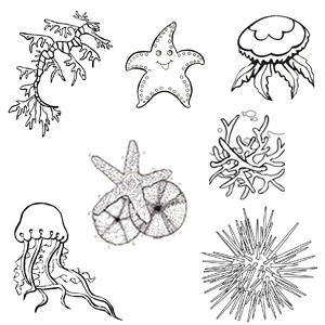 fise de colorat diverse